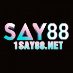 say88net1