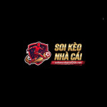 sksoikeonhacai24h
