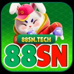 sntech88