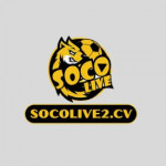 socolive2cv