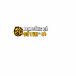 socolive78live