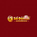 sodo66newcom