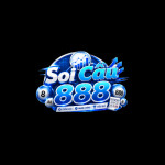 soicau888asia