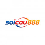 soicau888cfd