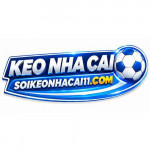 soikeonhacai11com