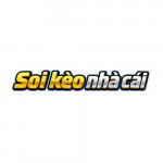soikeonhacaiblog