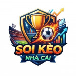 soikeonhacaicapital