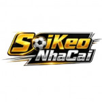 soikeotop