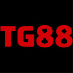 stg88com