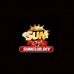 sumclubdev