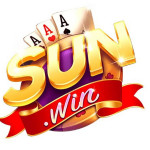sunvision1