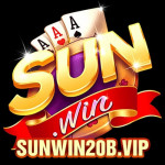 sunwin20bvip