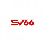 sv66bettodayy