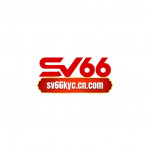 sv66kyccncom