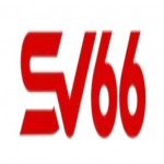 sv66teamcncom