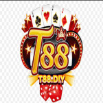 t88diy