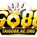 taigo88aeorg