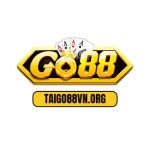 taigo88sapp01