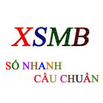 tanbinhsoicaumienbaccom