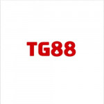 tg88366com