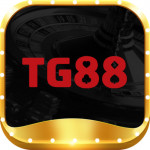 tg886cocom