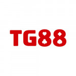 tg8889net