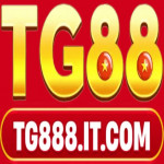 tg888itcom