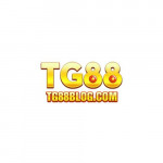 tg88blogcom