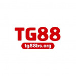 tg88bsorgv1