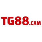 tg88cam