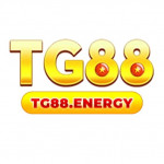 tg88energy