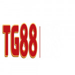 tg88fund