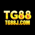 tg88jcom