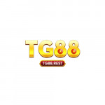tg88kucom