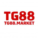tg88market1