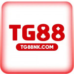 tg88nkcom