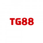 tg88nyc