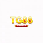 tg88official
