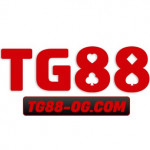 tg88ogcom