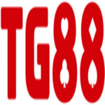 tg88poker