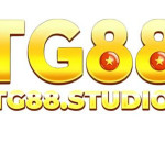 tg88studio