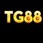 tg88tg88xuncom