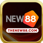 thenew88com