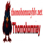 thomohomnayblv