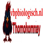 thomohomnayvbp