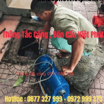 thongvietphatdf