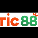 tic88art
