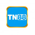 tn888top