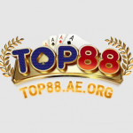 top88aeorg1