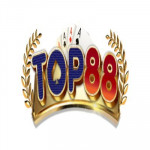 top88dev